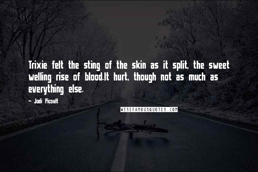 Jodi Picoult Quotes: Trixie felt the sting of the skin as it split, the sweet welling rise of blood.It hurt, though not as much as everything else.