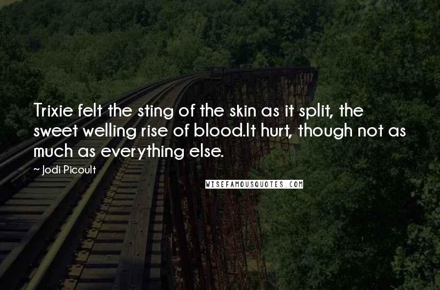 Jodi Picoult Quotes: Trixie felt the sting of the skin as it split, the sweet welling rise of blood.It hurt, though not as much as everything else.