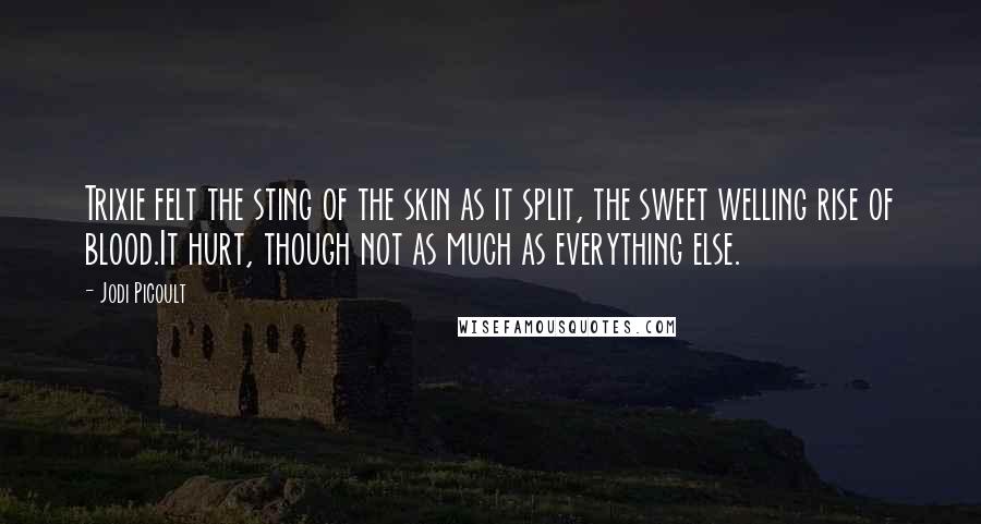 Jodi Picoult Quotes: Trixie felt the sting of the skin as it split, the sweet welling rise of blood.It hurt, though not as much as everything else.