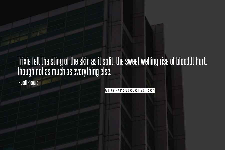 Jodi Picoult Quotes: Trixie felt the sting of the skin as it split, the sweet welling rise of blood.It hurt, though not as much as everything else.