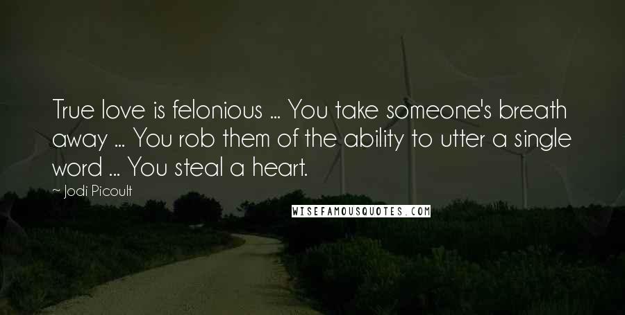 Jodi Picoult Quotes: True love is felonious ... You take someone's breath away ... You rob them of the ability to utter a single word ... You steal a heart.