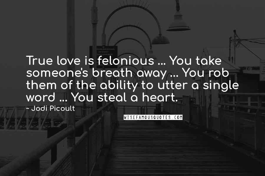 Jodi Picoult Quotes: True love is felonious ... You take someone's breath away ... You rob them of the ability to utter a single word ... You steal a heart.