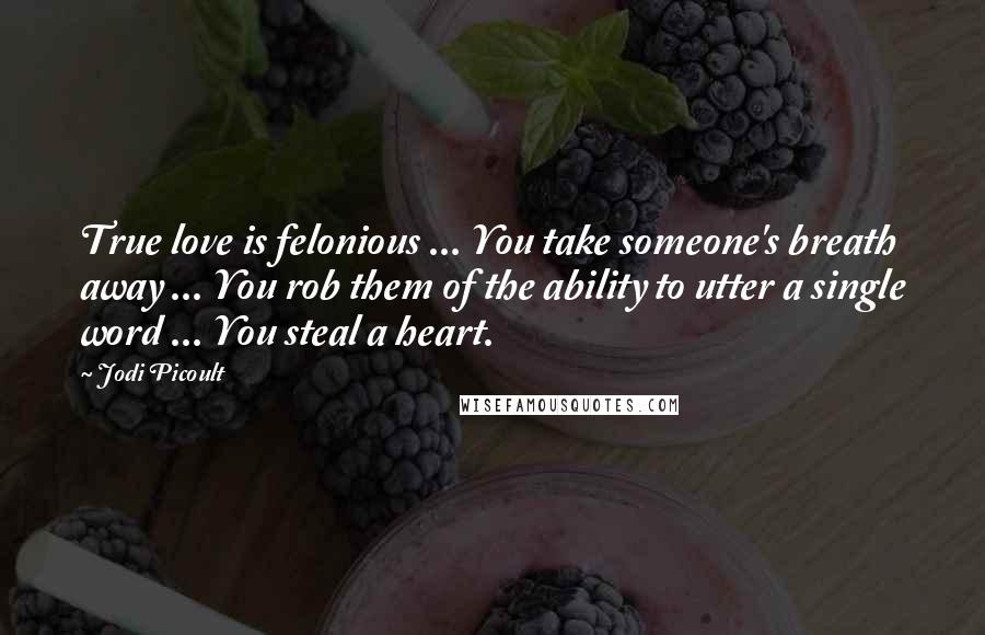 Jodi Picoult Quotes: True love is felonious ... You take someone's breath away ... You rob them of the ability to utter a single word ... You steal a heart.