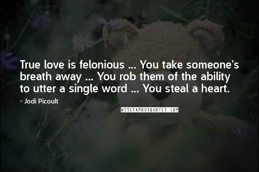 Jodi Picoult Quotes: True love is felonious ... You take someone's breath away ... You rob them of the ability to utter a single word ... You steal a heart.