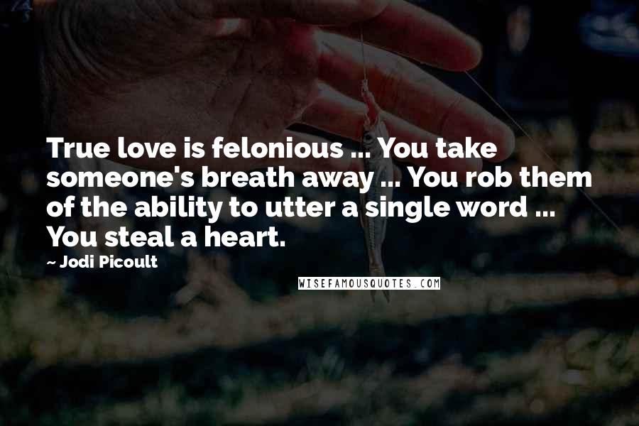 Jodi Picoult Quotes: True love is felonious ... You take someone's breath away ... You rob them of the ability to utter a single word ... You steal a heart.