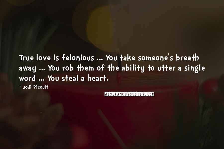 Jodi Picoult Quotes: True love is felonious ... You take someone's breath away ... You rob them of the ability to utter a single word ... You steal a heart.