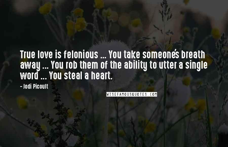 Jodi Picoult Quotes: True love is felonious ... You take someone's breath away ... You rob them of the ability to utter a single word ... You steal a heart.