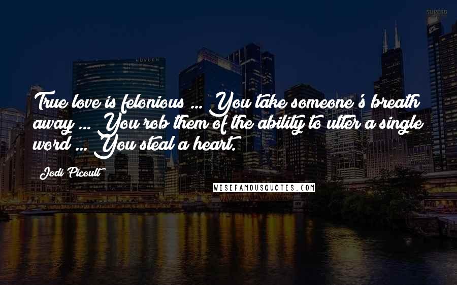 Jodi Picoult Quotes: True love is felonious ... You take someone's breath away ... You rob them of the ability to utter a single word ... You steal a heart.