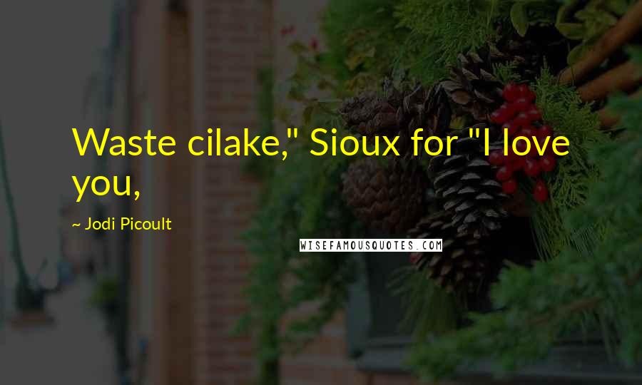 Jodi Picoult Quotes: Waste cilake," Sioux for "I love you,