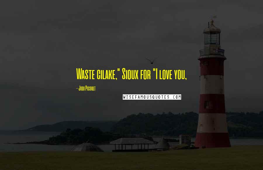Jodi Picoult Quotes: Waste cilake," Sioux for "I love you,