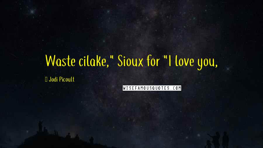 Jodi Picoult Quotes: Waste cilake," Sioux for "I love you,