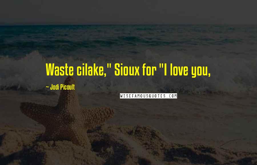 Jodi Picoult Quotes: Waste cilake," Sioux for "I love you,