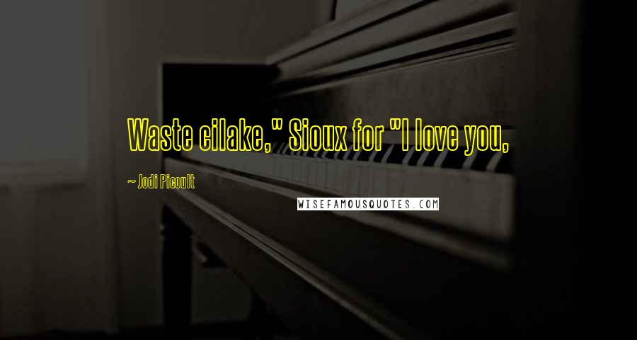 Jodi Picoult Quotes: Waste cilake," Sioux for "I love you,