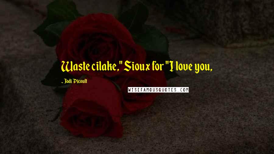 Jodi Picoult Quotes: Waste cilake," Sioux for "I love you,
