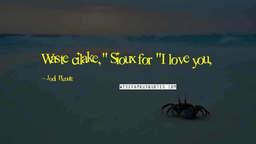 Jodi Picoult Quotes: Waste cilake," Sioux for "I love you,