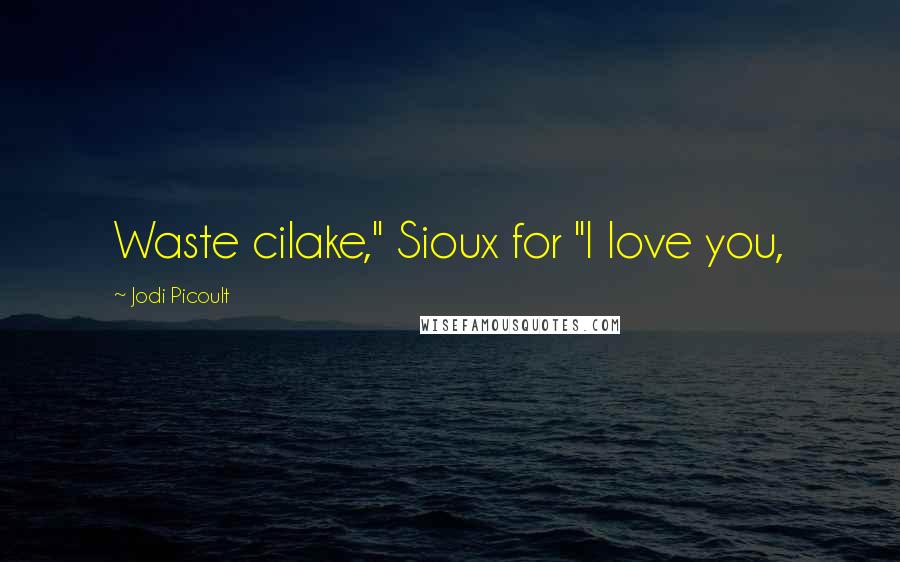 Jodi Picoult Quotes: Waste cilake," Sioux for "I love you,