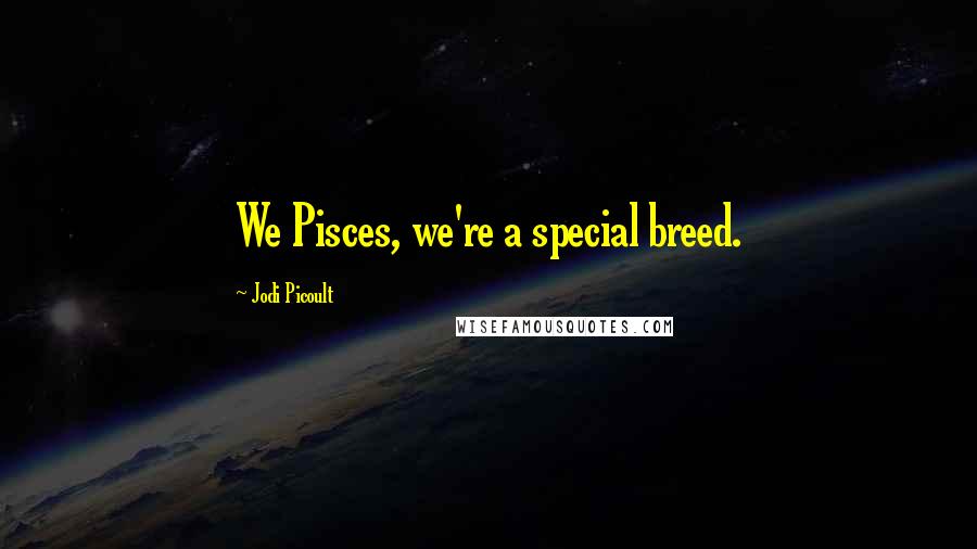 Jodi Picoult Quotes: We Pisces, we're a special breed.