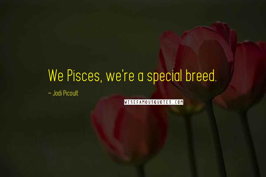 Jodi Picoult Quotes: We Pisces, we're a special breed.
