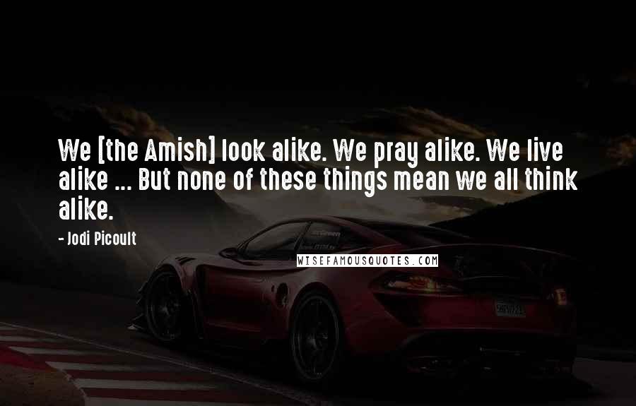 Jodi Picoult Quotes: We [the Amish] look alike. We pray alike. We live alike ... But none of these things mean we all think alike.