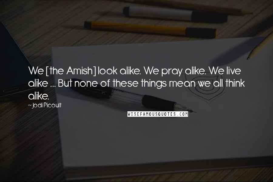 Jodi Picoult Quotes: We [the Amish] look alike. We pray alike. We live alike ... But none of these things mean we all think alike.