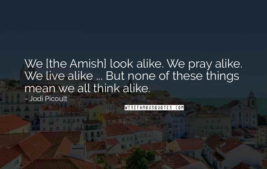 Jodi Picoult Quotes: We [the Amish] look alike. We pray alike. We live alike ... But none of these things mean we all think alike.