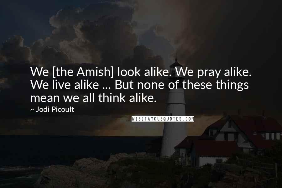 Jodi Picoult Quotes: We [the Amish] look alike. We pray alike. We live alike ... But none of these things mean we all think alike.
