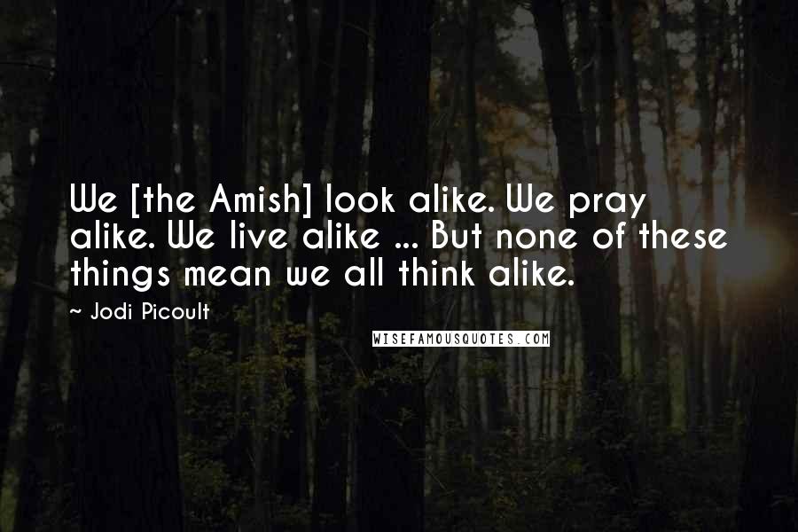 Jodi Picoult Quotes: We [the Amish] look alike. We pray alike. We live alike ... But none of these things mean we all think alike.