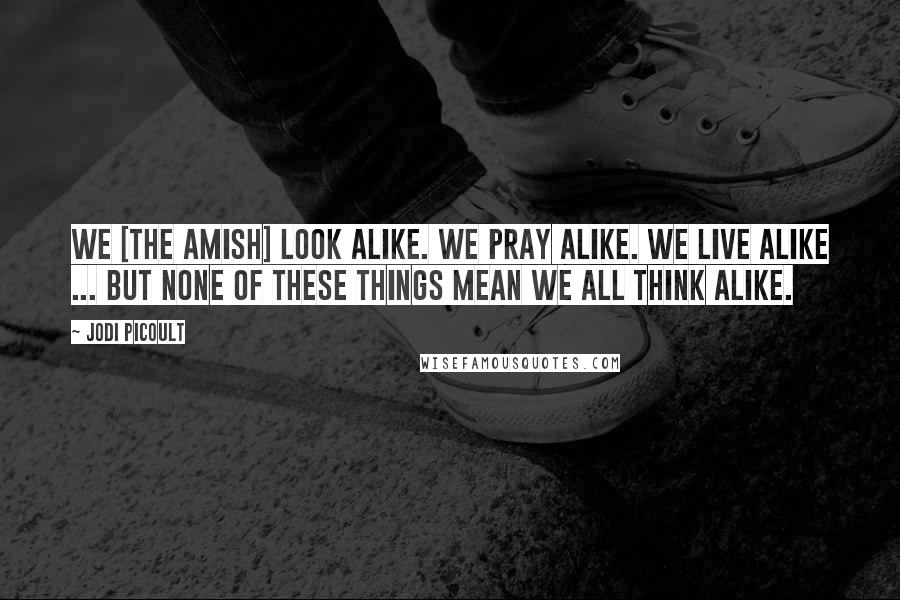Jodi Picoult Quotes: We [the Amish] look alike. We pray alike. We live alike ... But none of these things mean we all think alike.