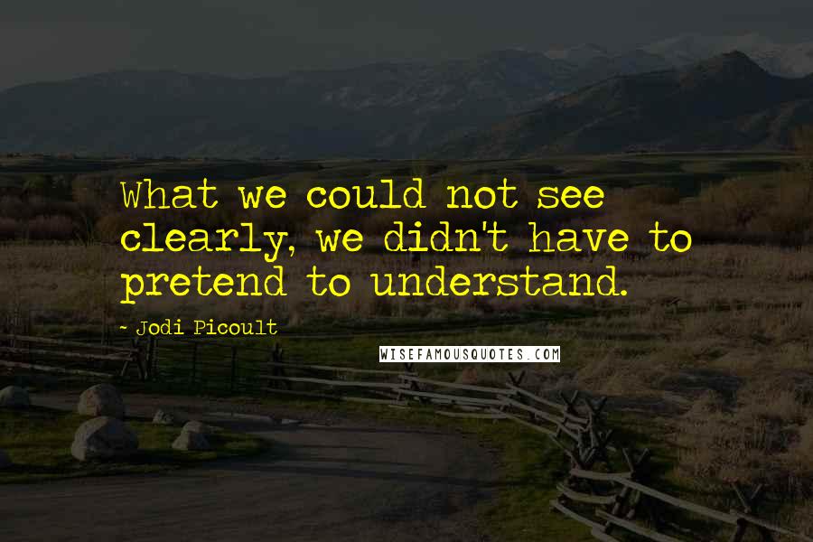 Jodi Picoult Quotes: What we could not see clearly, we didn't have to pretend to understand.