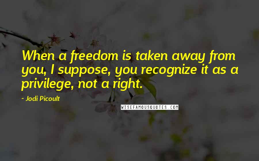 Jodi Picoult Quotes: When a freedom is taken away from you, I suppose, you recognize it as a privilege, not a right.