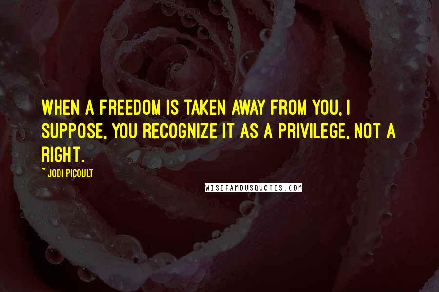 Jodi Picoult Quotes: When a freedom is taken away from you, I suppose, you recognize it as a privilege, not a right.