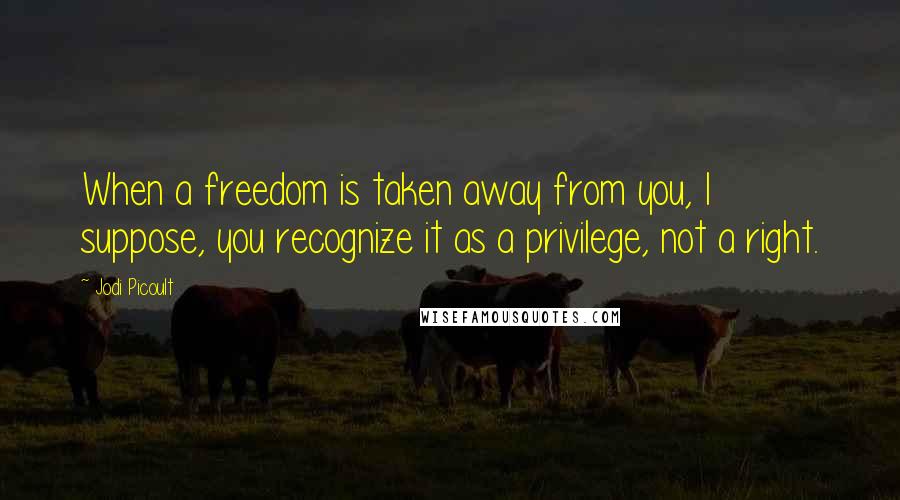 Jodi Picoult Quotes: When a freedom is taken away from you, I suppose, you recognize it as a privilege, not a right.