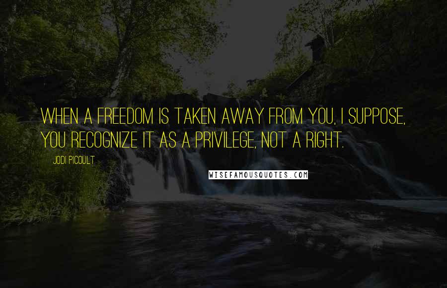 Jodi Picoult Quotes: When a freedom is taken away from you, I suppose, you recognize it as a privilege, not a right.