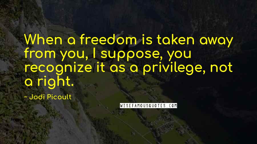 Jodi Picoult Quotes: When a freedom is taken away from you, I suppose, you recognize it as a privilege, not a right.