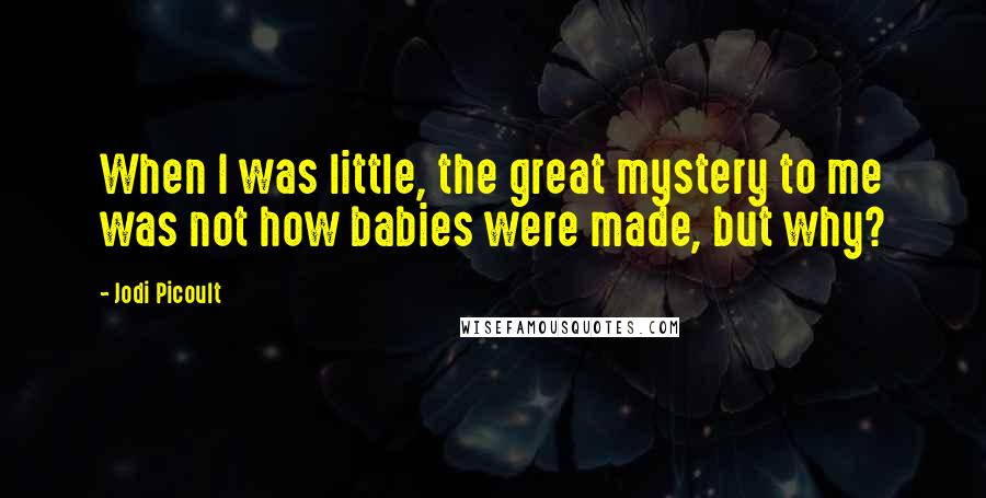 Jodi Picoult Quotes: When I was little, the great mystery to me was not how babies were made, but why?