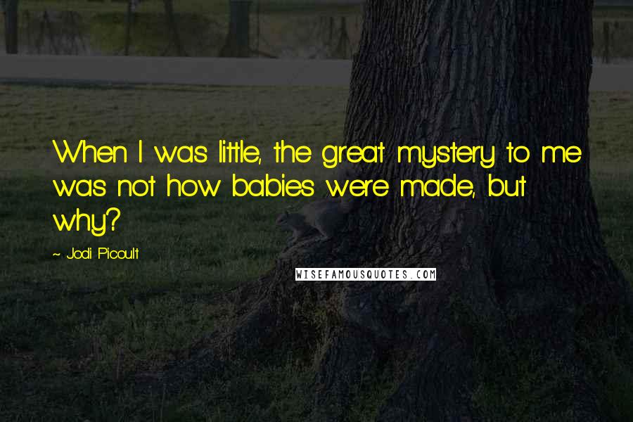 Jodi Picoult Quotes: When I was little, the great mystery to me was not how babies were made, but why?