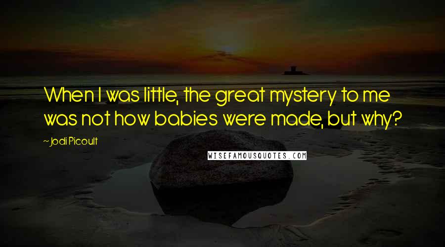 Jodi Picoult Quotes: When I was little, the great mystery to me was not how babies were made, but why?