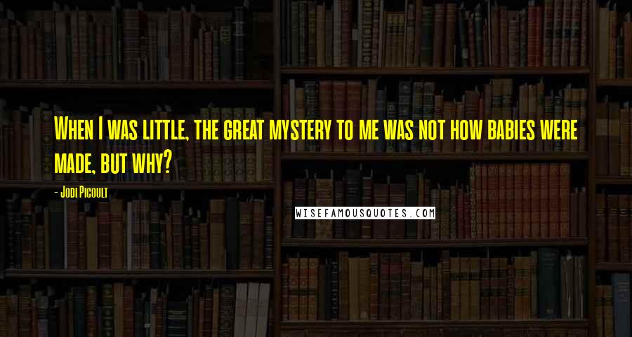 Jodi Picoult Quotes: When I was little, the great mystery to me was not how babies were made, but why?