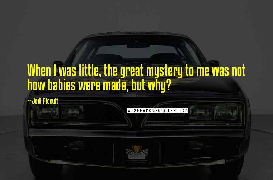 Jodi Picoult Quotes: When I was little, the great mystery to me was not how babies were made, but why?
