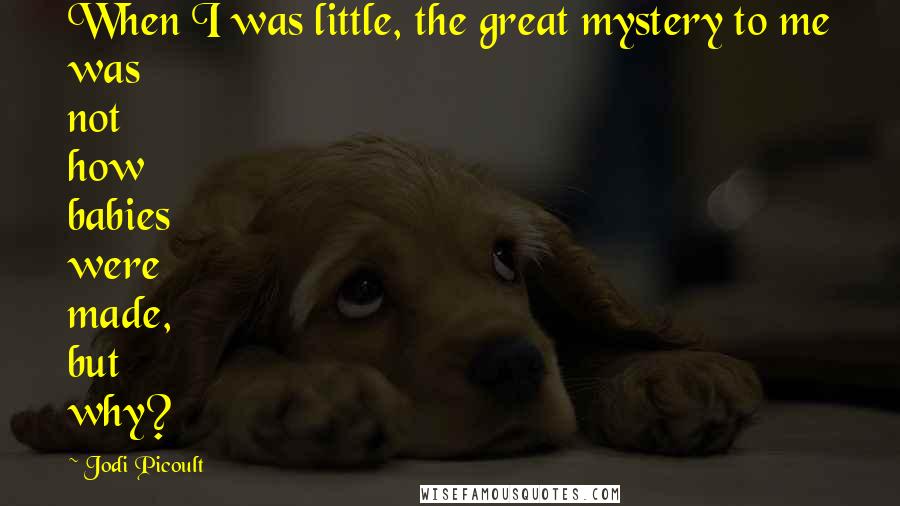 Jodi Picoult Quotes: When I was little, the great mystery to me was not how babies were made, but why?