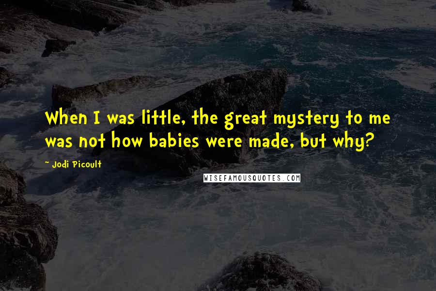 Jodi Picoult Quotes: When I was little, the great mystery to me was not how babies were made, but why?