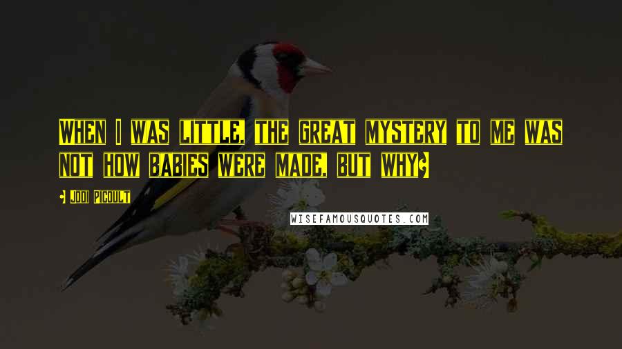 Jodi Picoult Quotes: When I was little, the great mystery to me was not how babies were made, but why?