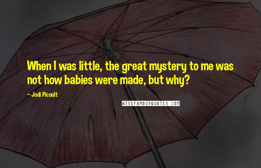 Jodi Picoult Quotes: When I was little, the great mystery to me was not how babies were made, but why?