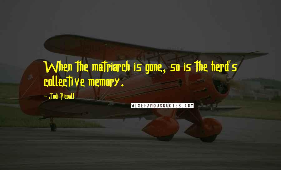Jodi Picoult Quotes: When the matriarch is gone, so is the herd's collective memory.