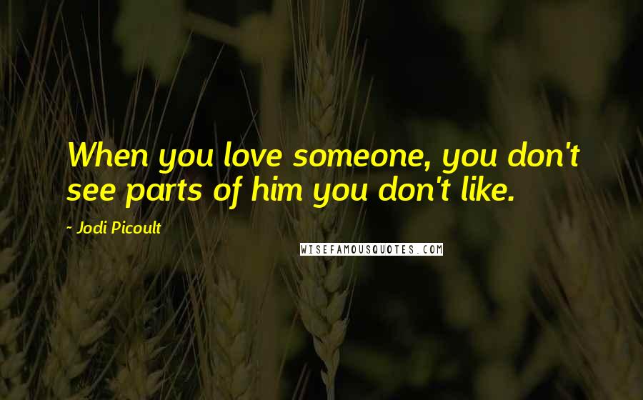 Jodi Picoult Quotes: When you love someone, you don't see parts of him you don't like.