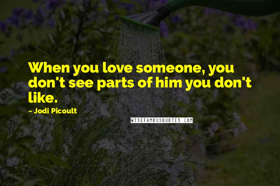 Jodi Picoult Quotes: When you love someone, you don't see parts of him you don't like.