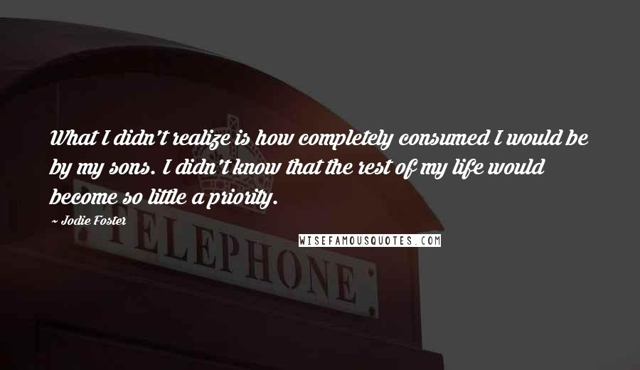 Jodie Foster Quotes: What I didn't realize is how completely consumed I would be by my sons. I didn't know that the rest of my life would become so little a priority.