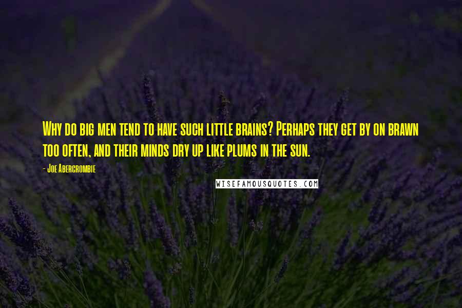 Joe Abercrombie Quotes: Why do big men tend to have such little brains? Perhaps they get by on brawn too often, and their minds dry up like plums in the sun.