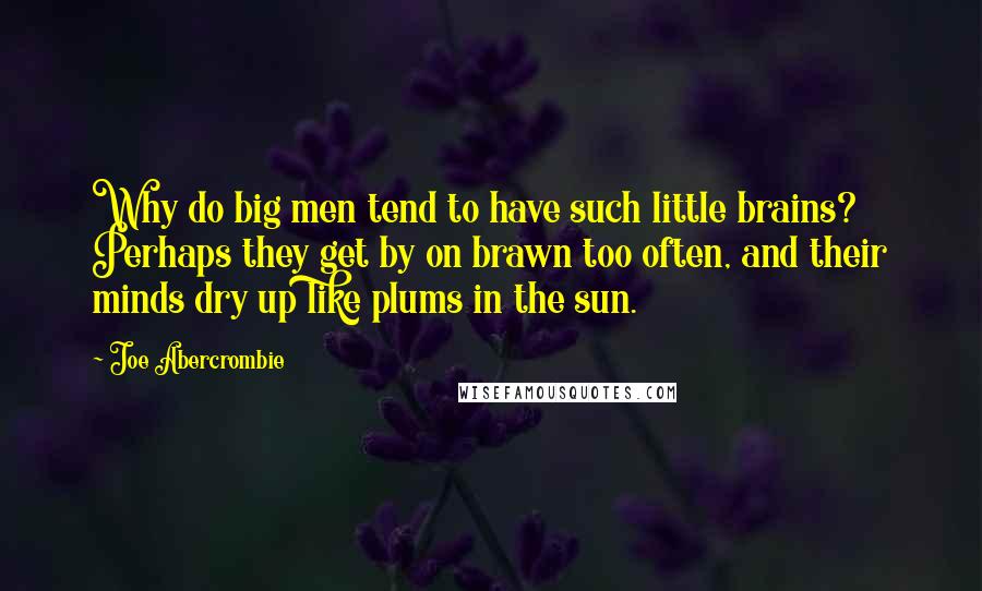 Joe Abercrombie Quotes: Why do big men tend to have such little brains? Perhaps they get by on brawn too often, and their minds dry up like plums in the sun.