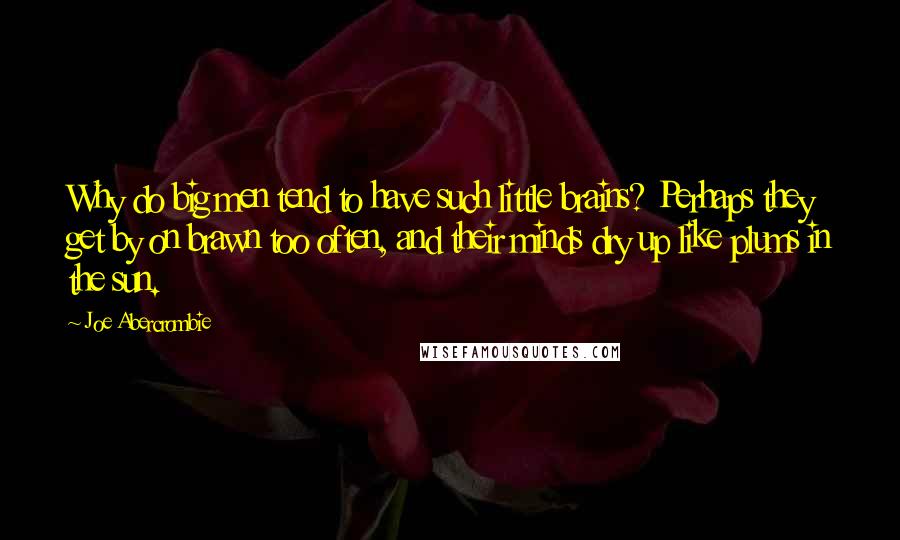 Joe Abercrombie Quotes: Why do big men tend to have such little brains? Perhaps they get by on brawn too often, and their minds dry up like plums in the sun.